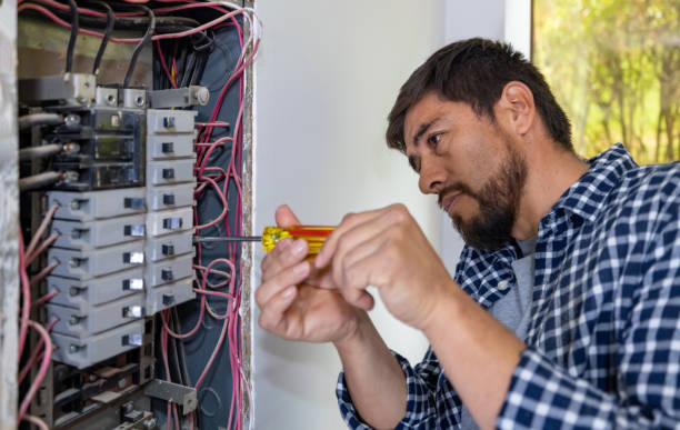 Best Electrical Troubleshooting Services  in Fruitville, FL